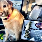 GUNTERSVILLE BASS GUIDES
