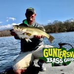GUNTERSVILLE BAS GUIDES