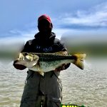 Guntersville Bass Guides
