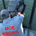 GUNTERSVILLE BASS GUIDES