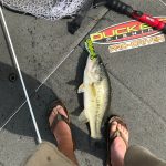 GUNTERSVILLE BASS GUIDES