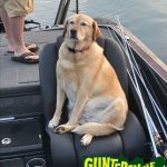 GUNTERSVILLE BASS GUIDES