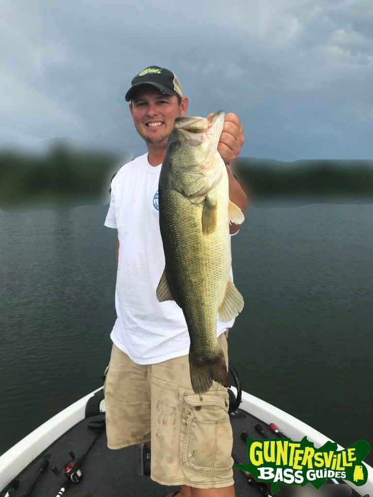 GUNTERSVILLE BASS GUIDES