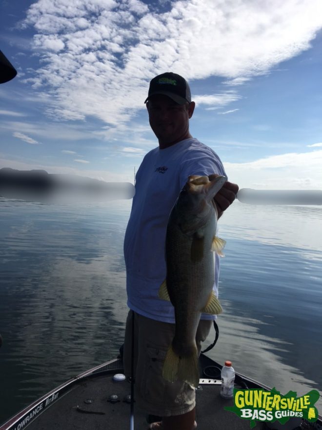 Guntersville Bass Guides
