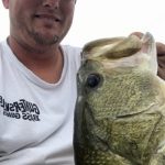 GUNTERSVILLE BASS GUIDES