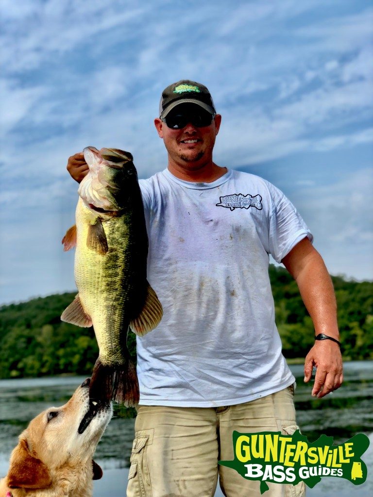 Guntersville Bass Guides