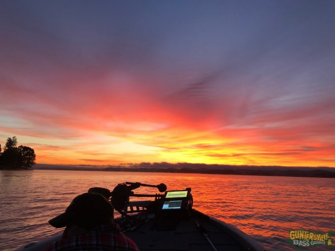 GUNTERSVILLE BASS GUIDES