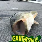 Guntersville Bass Guides