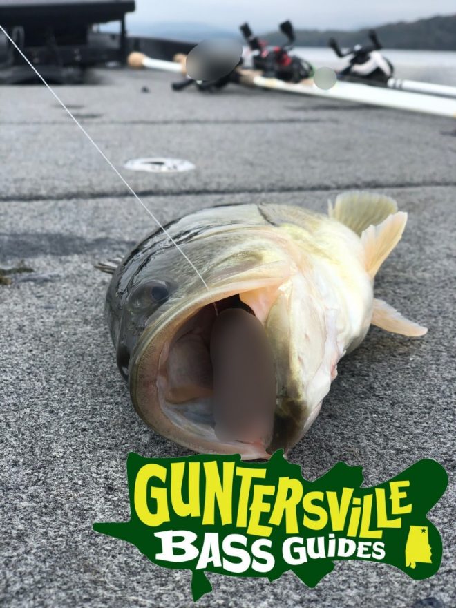 Guntersville Bass Guides