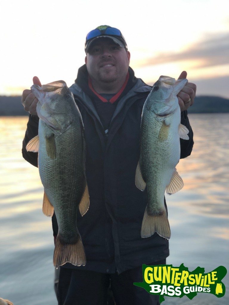 Guntersville Bass Guides