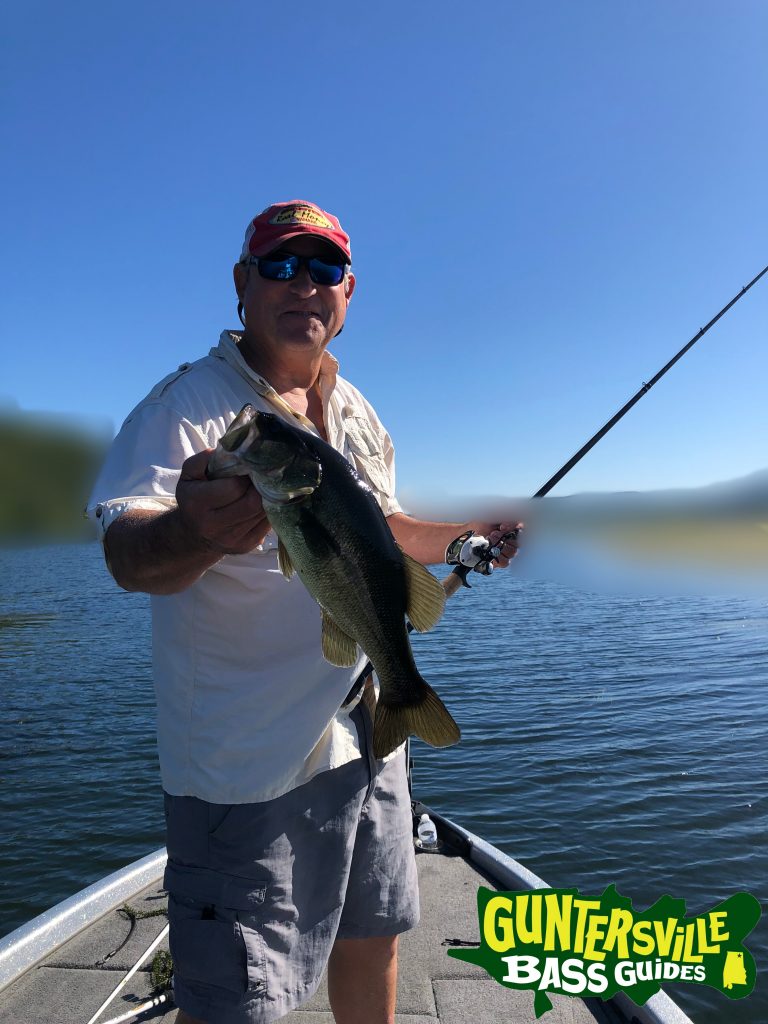 GUNTERSVILLE BASS GUIDES