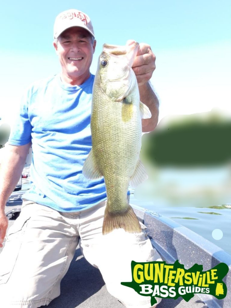 GUNTERSVILLE BASS GUIDES