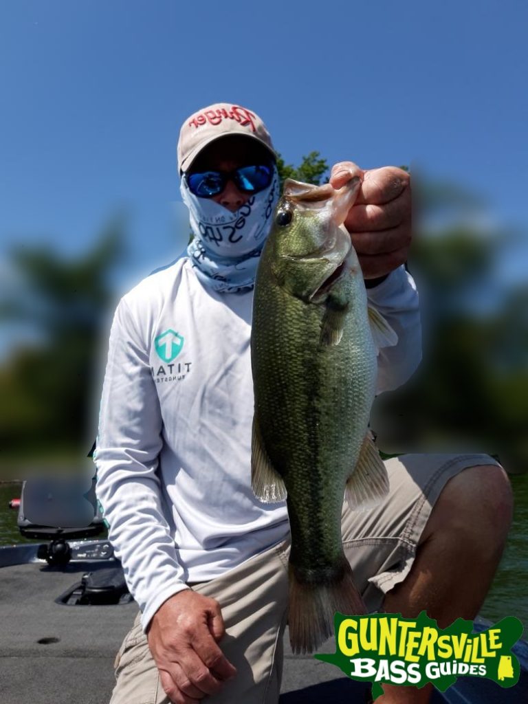GUNTERSVILLE BASS GUIDES