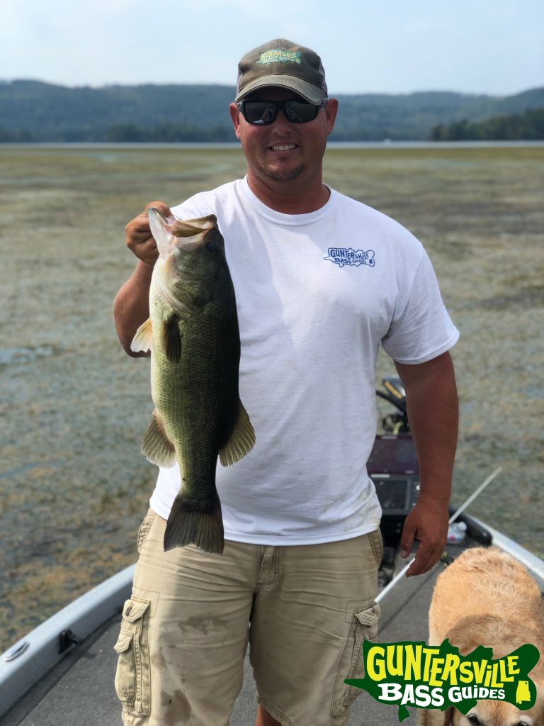 Guntersville Bass Guides