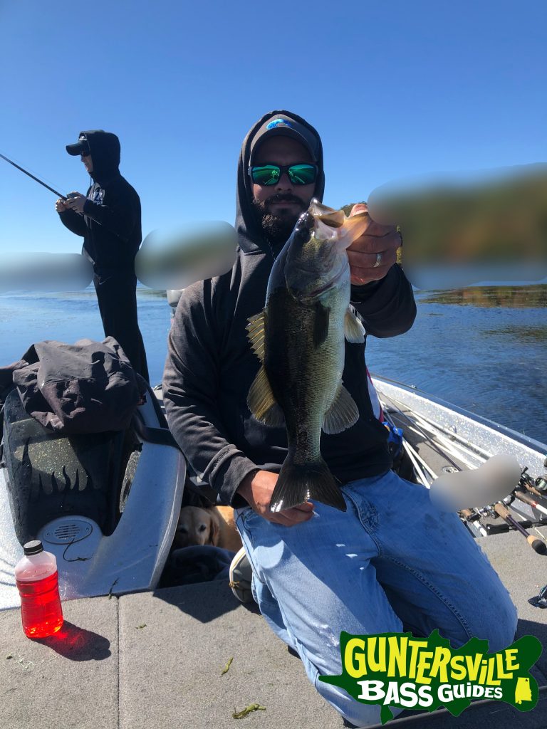 Guntersville Bass Guides