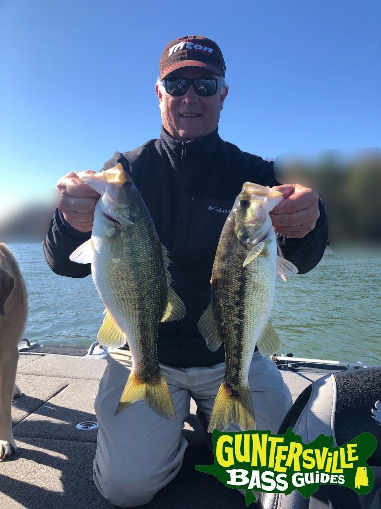GUNTERSVILLE BASS GUIDES
