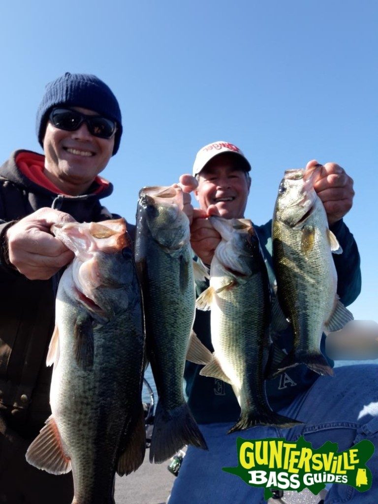 GUNTERSVILLE BASS GUIDES