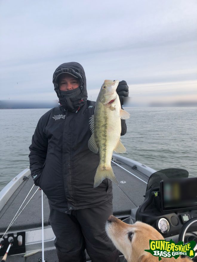 GUNTERSVILLE BASS GUIDES