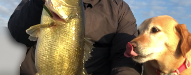 GUNTERSVILLE BASS GUIDES