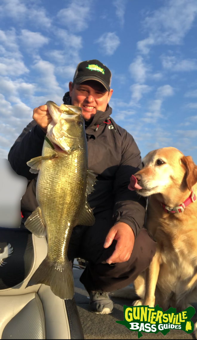 GUNTERSVILLE BASS GUIDES
