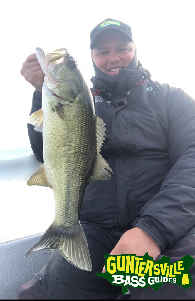 GUNTERSVILLE BASS GUIDES