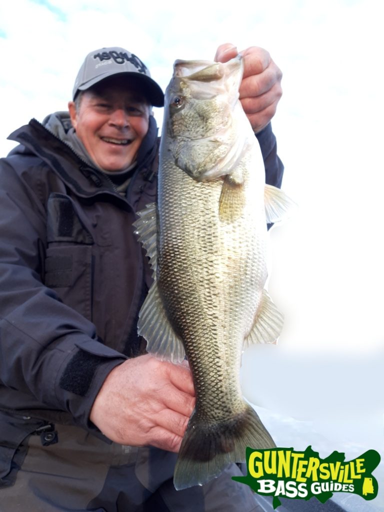 GUNTERSVILLE BASS GUIDES