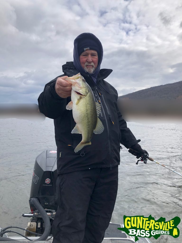 Guntersville Bass Guides