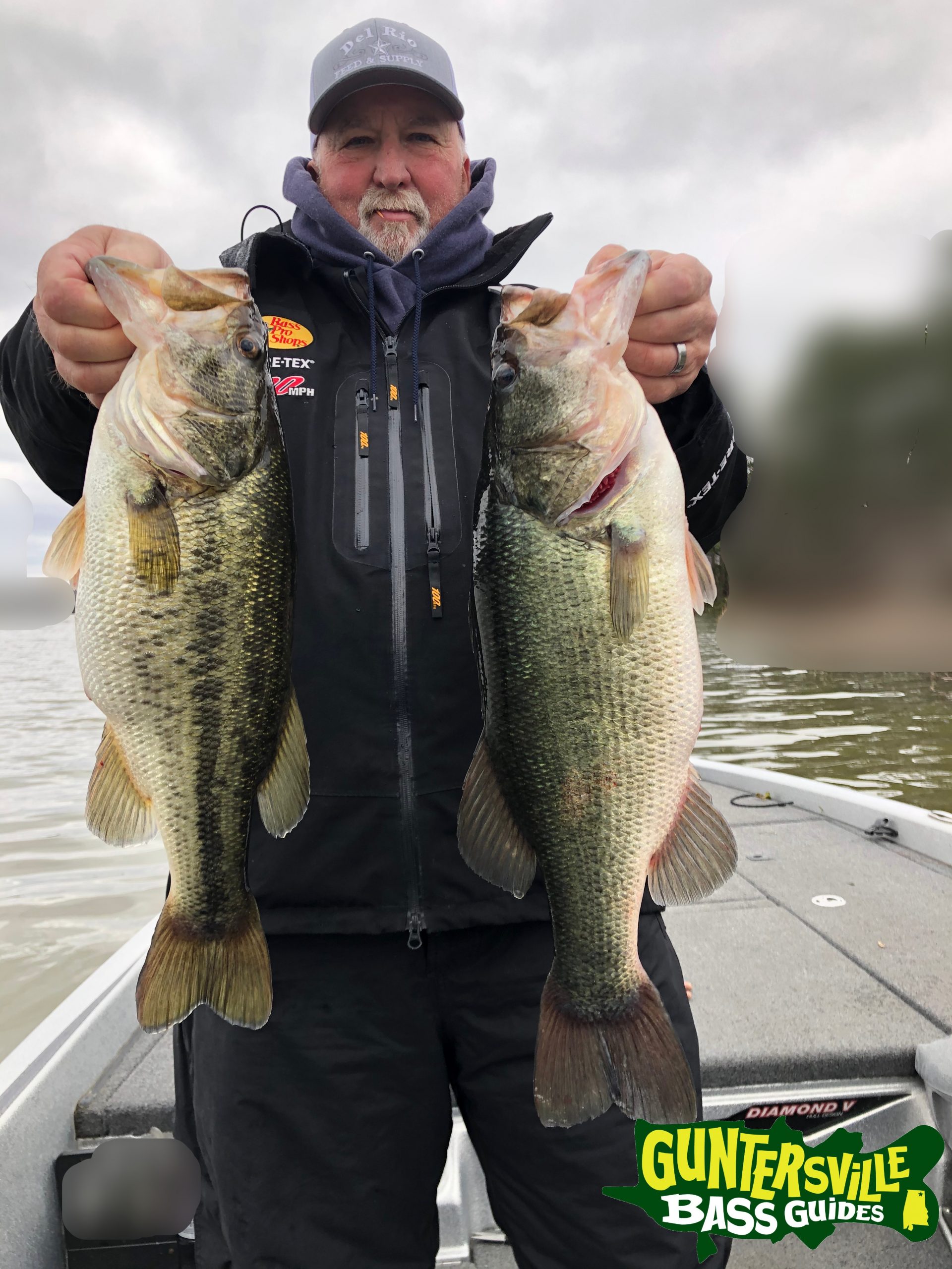 guntersville bass guides