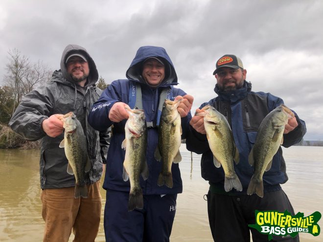 Guntersville Bass Guides