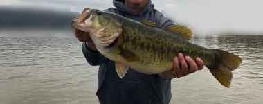 10-02lb Largemouth Bass