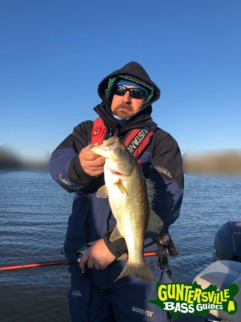 Guntersville Bass Guides March Fishing