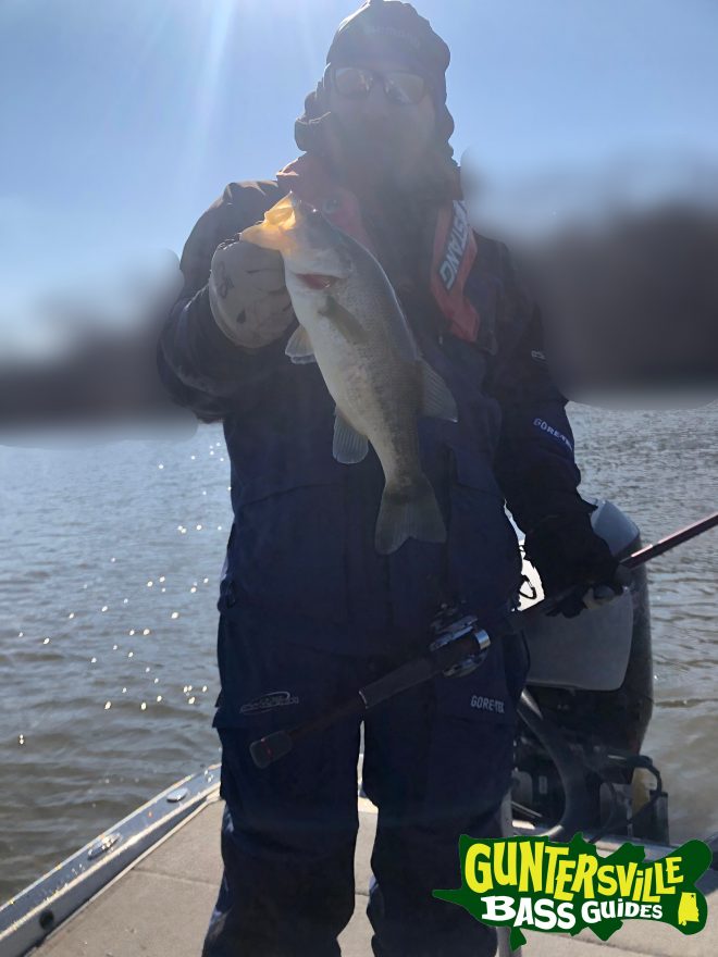 Guntersville Bass Guides March Fishing