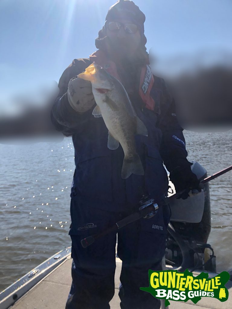 Guntersville Bass Guides March Fishing