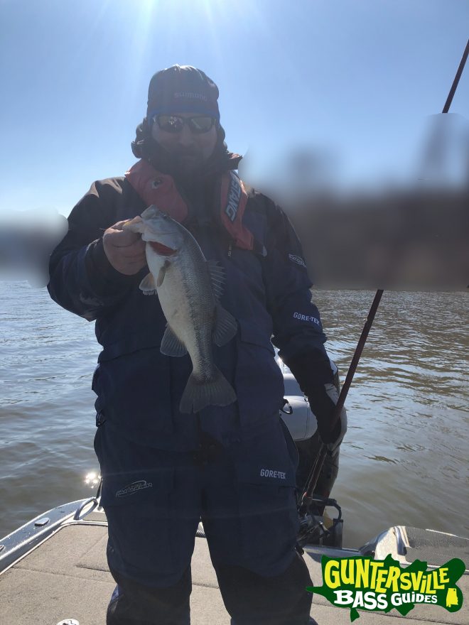 Guntersville Bass Guides March Fishing