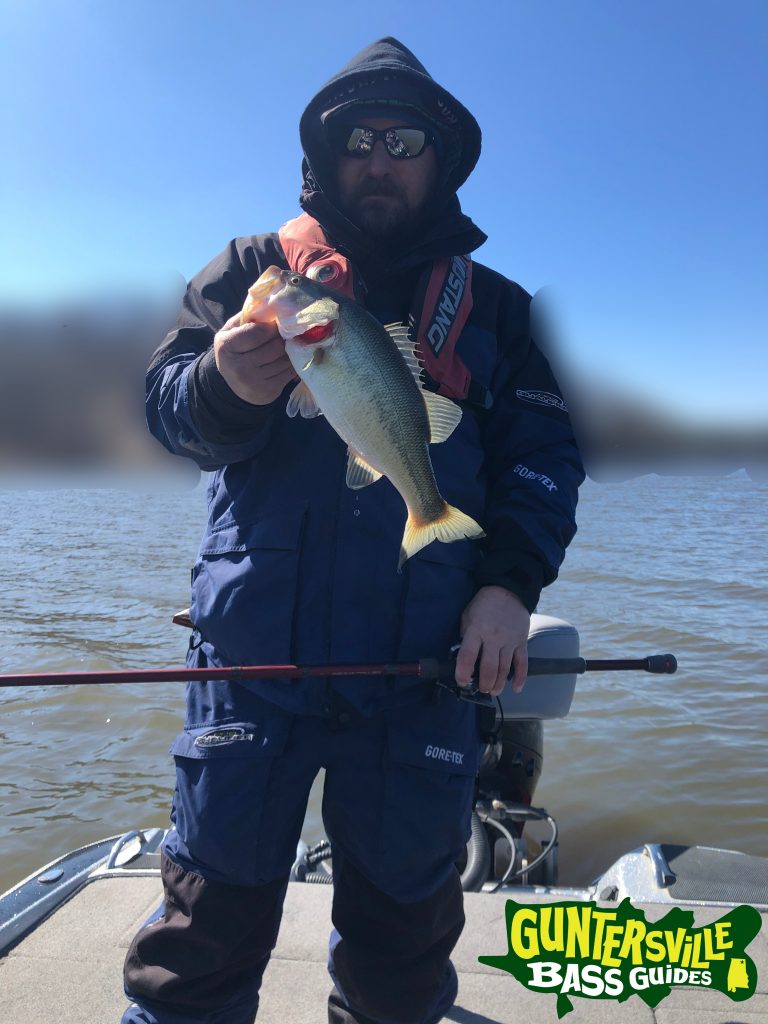 Guntersville Bass Guides March Fishing