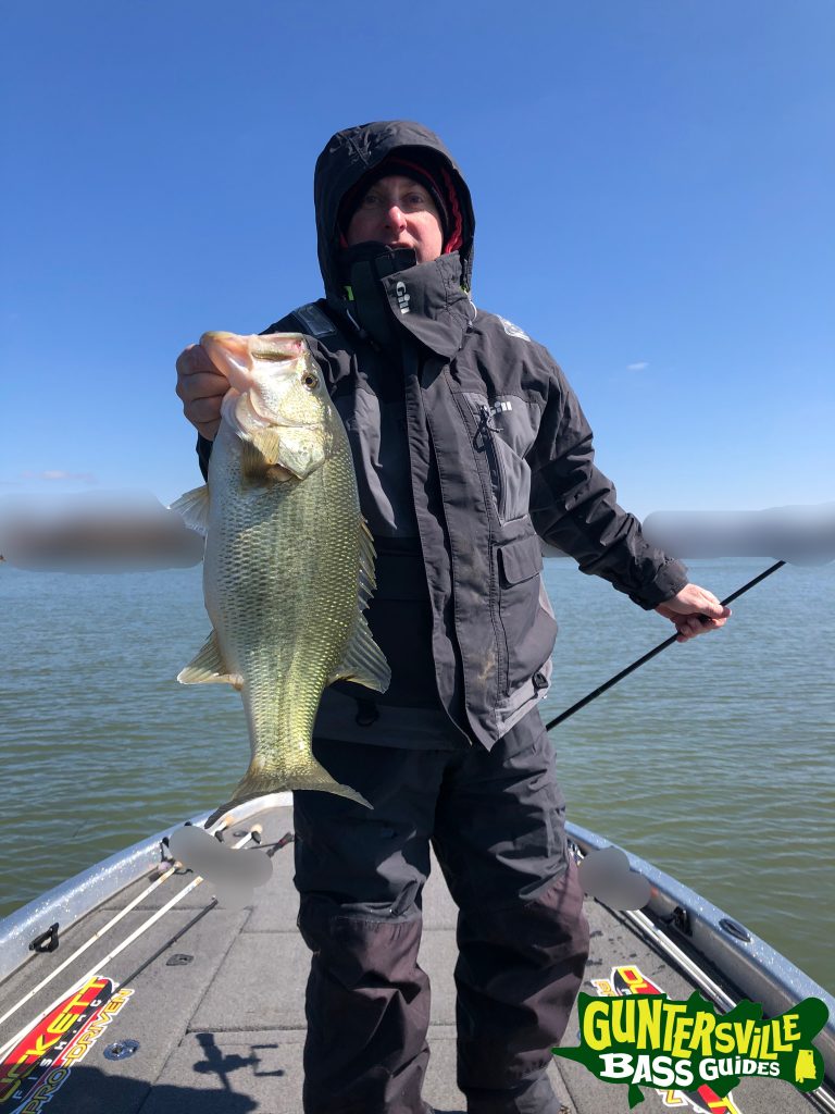 Guntersville Bass Guides March Fishing