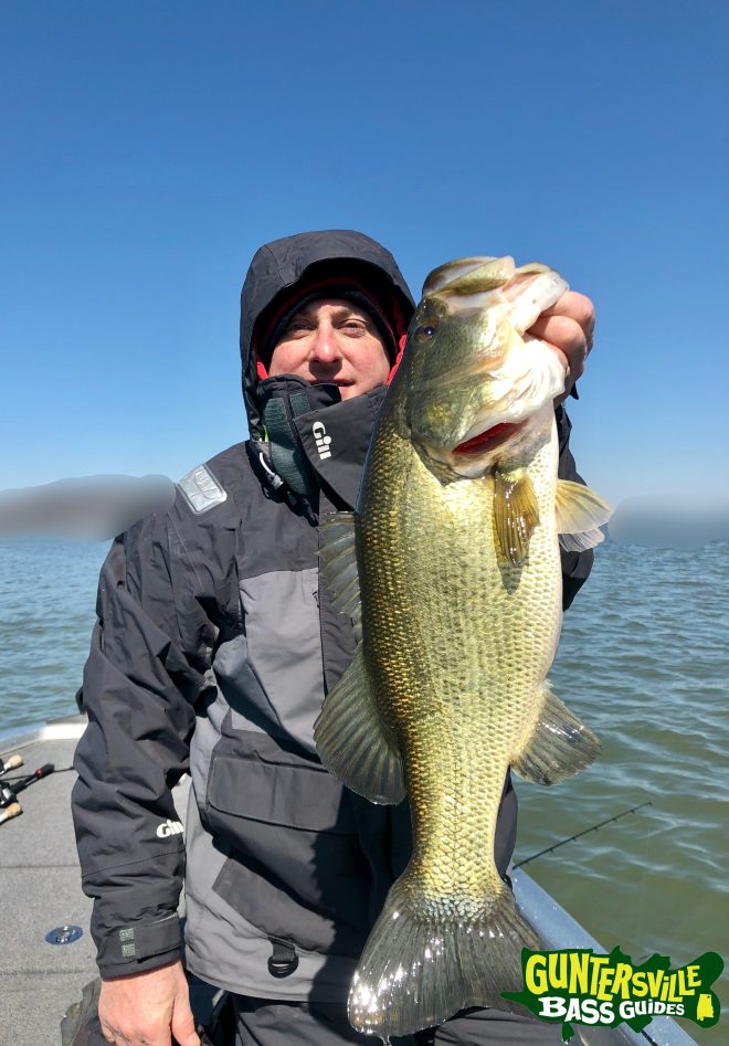 Guntersville Bass Guides March Fishing