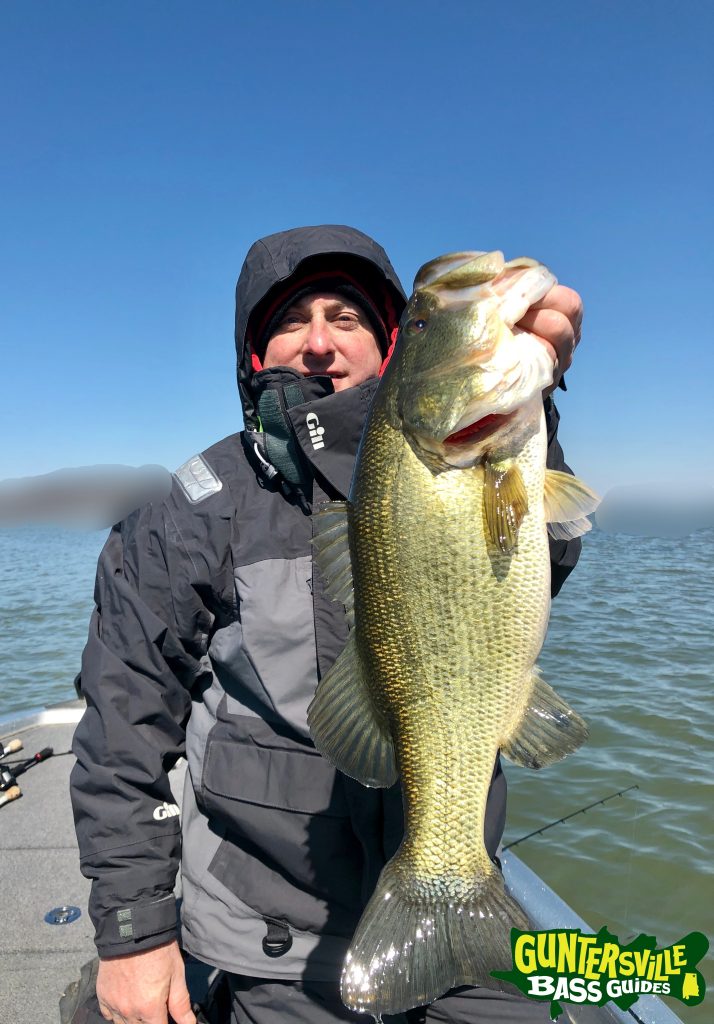 Guntersville Bass Guides March Fishing