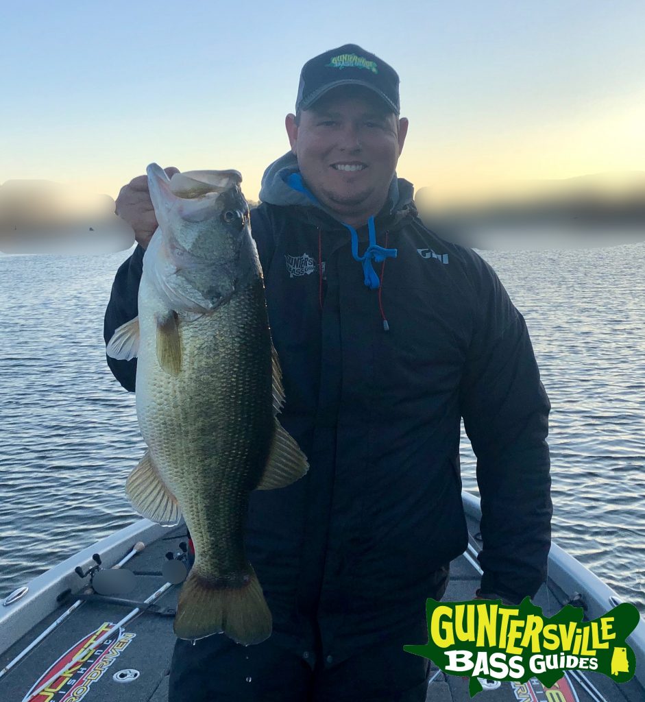 Guntersville Bass Guides March Fishing