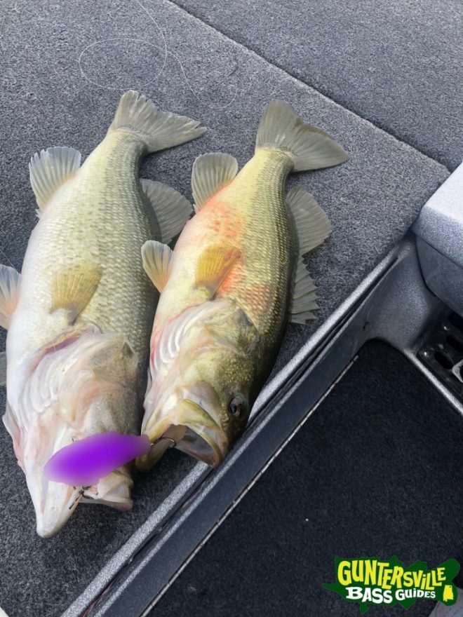 GUNTERSVILLE BASS GUIDES
