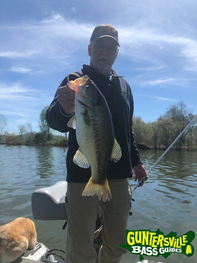 Guntersville Bass Guides
