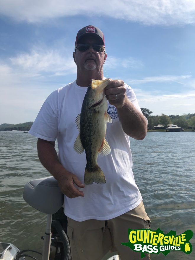 Guntersville Bass Guides