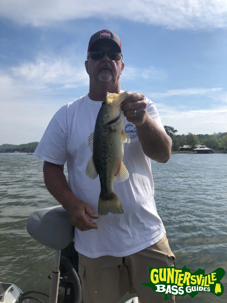 Guntersville Bass Guides