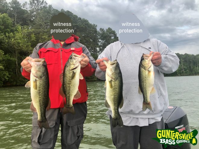 Guntersville Bass Guides