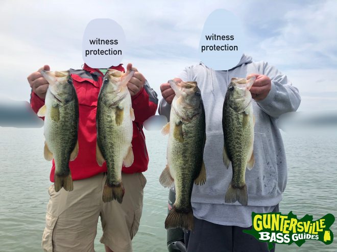 Guntersville Bass Guides
