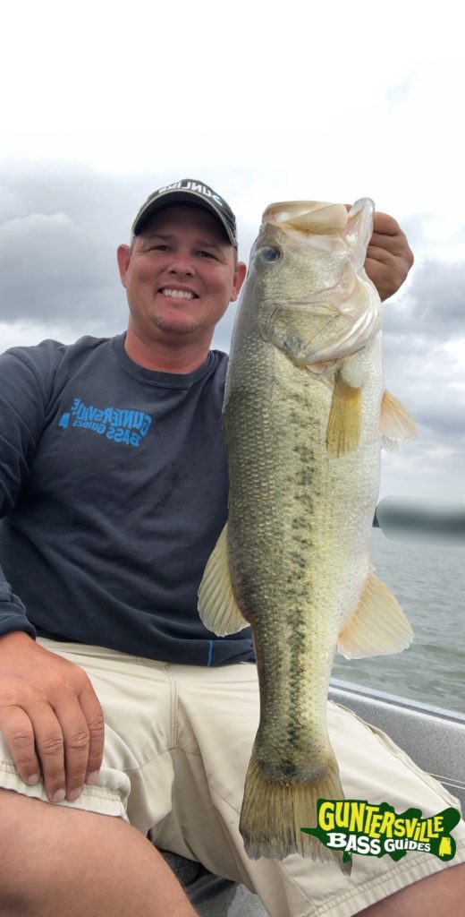 Guntersville Bass Guides