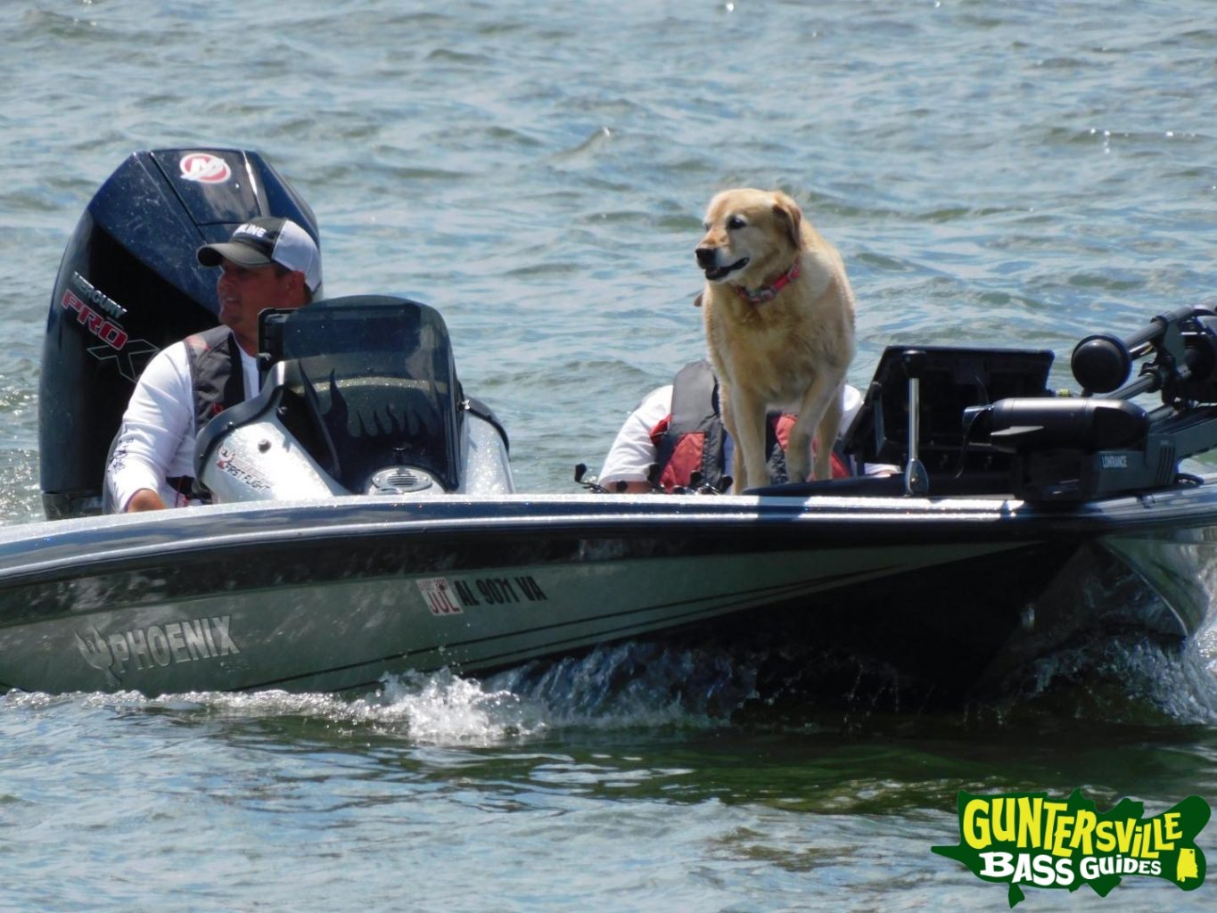 Guntersville Bass Guides