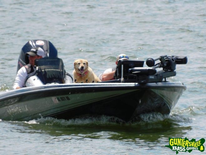 Guntersville Bass Guides