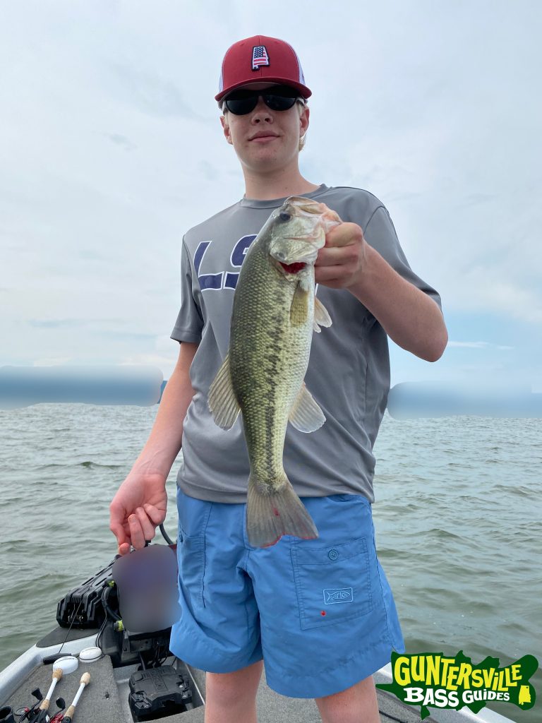 Guntersville Bass Guides