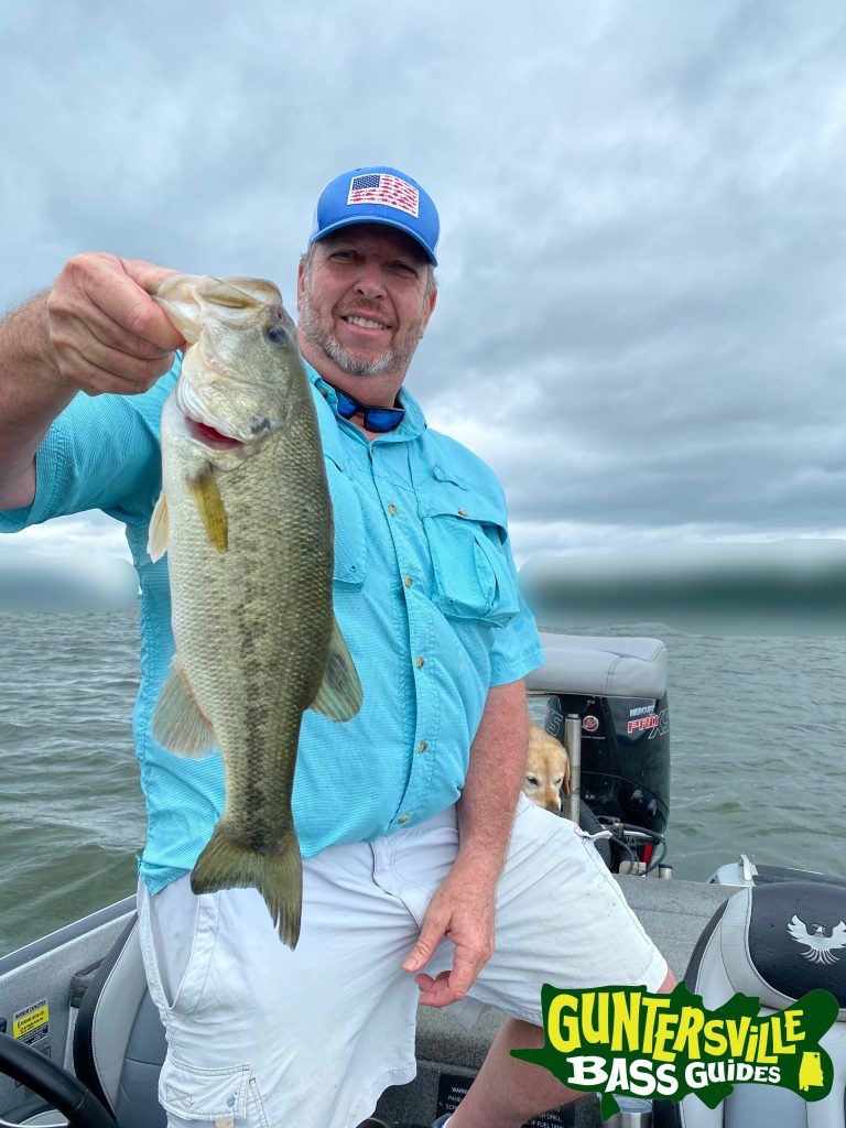 Guntersville Bass Guides